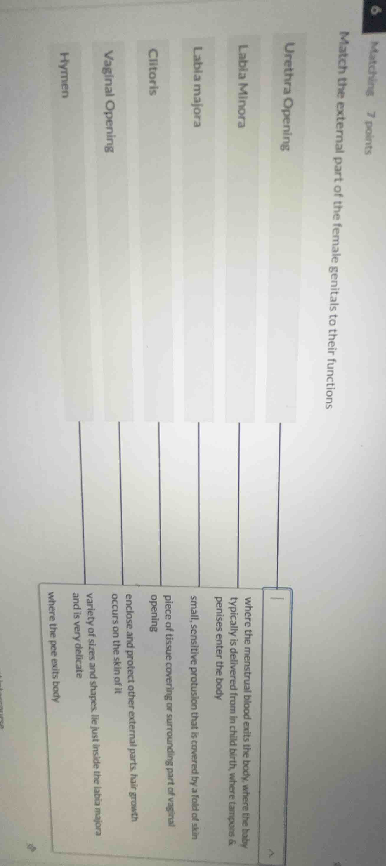 matching 7 points match the external part of the female genitals to the…