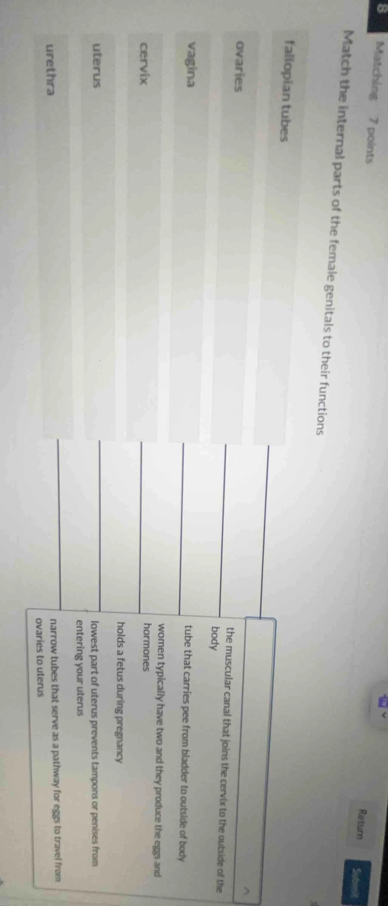 matching 7 points match the internal parts of the female genitals to th…