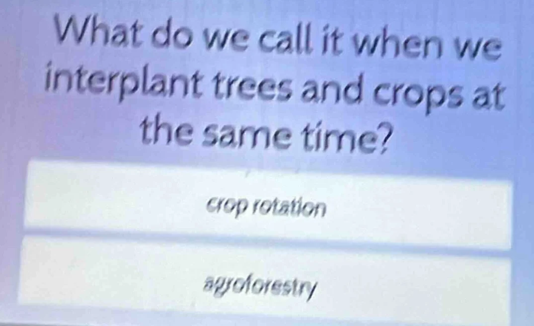 what do we call it when we interplant trees and crops at the same time?…
