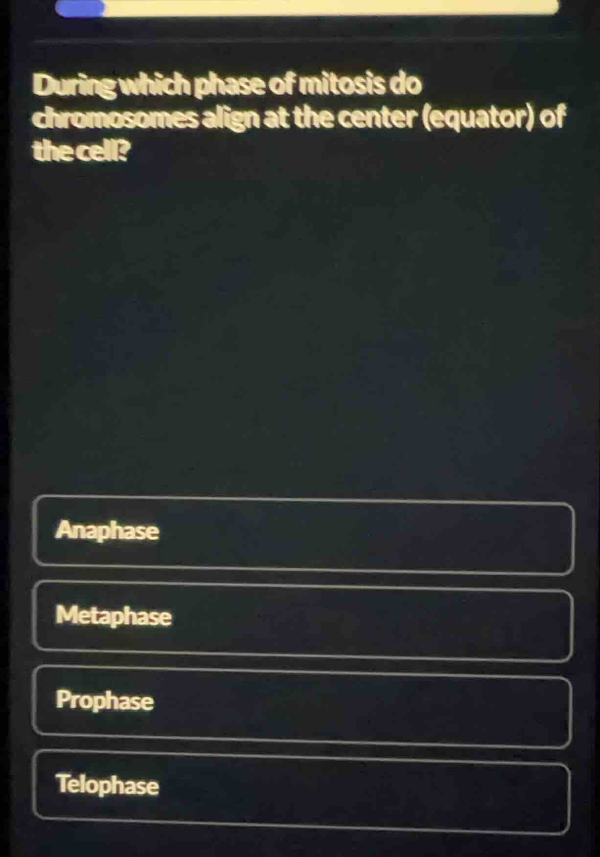 during which phase of mitosis do chromosomes align at the center (equat…