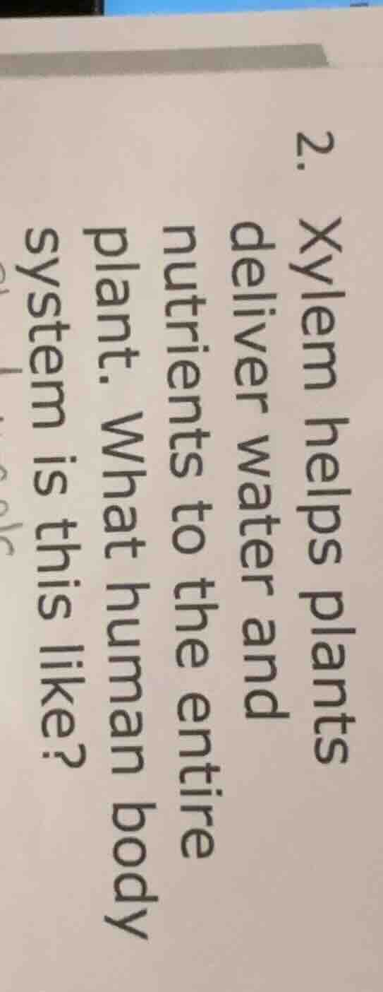 2. xylem helps plants deliver water and nutrients to the entire plant. …