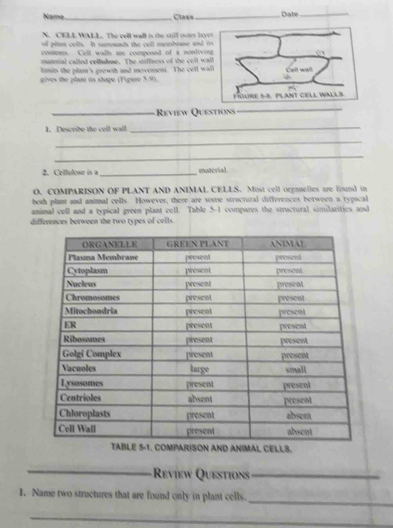 name class date x. cell wall. the cell wall is the stiff outer layer of…