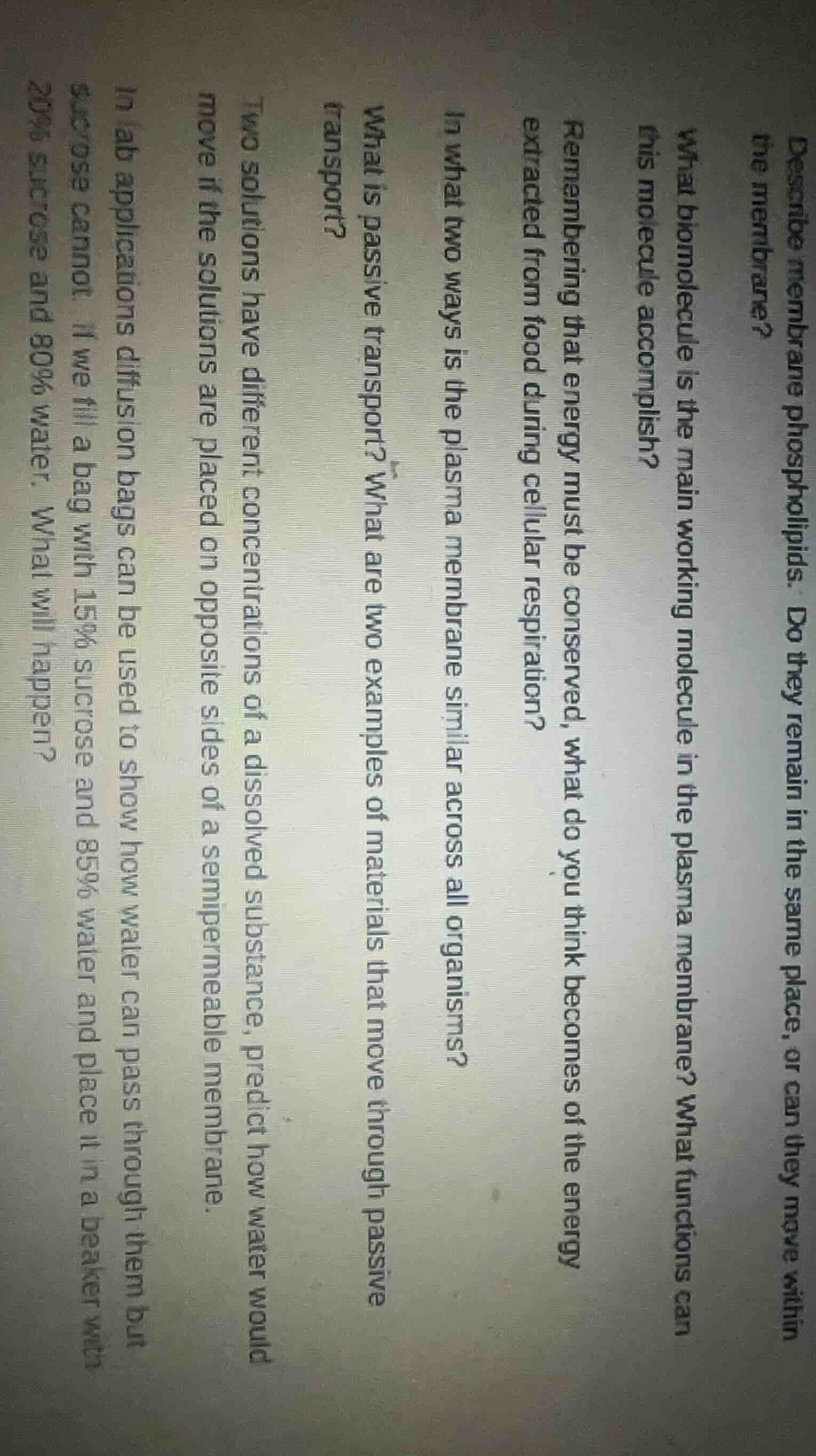 describe membrane phospholipids. do they remain in the same place, or c…