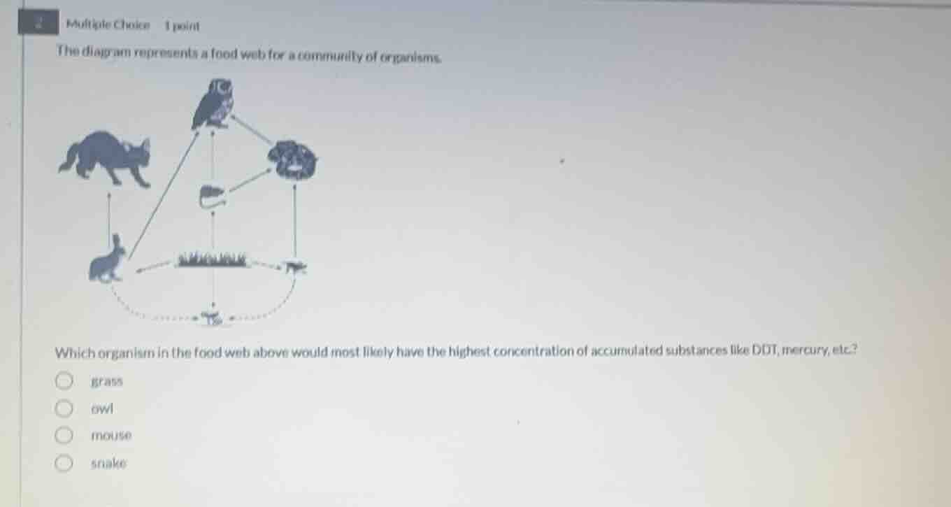 multiple choice 1 point the diagram represents a food web for a communi…