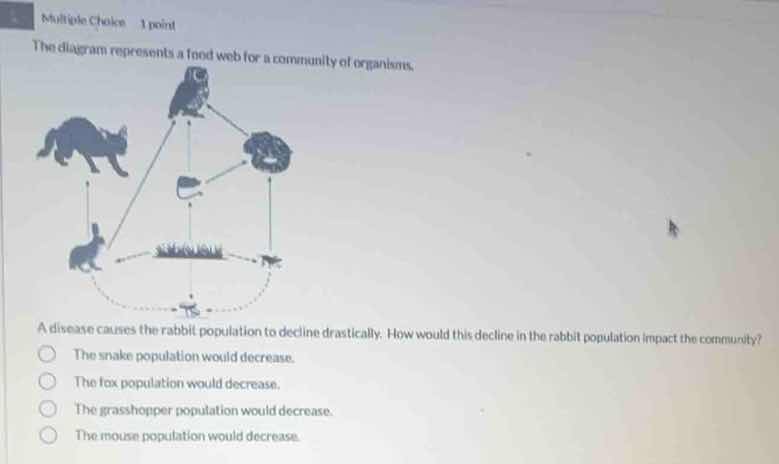 multiple choice 1 point the diagram represents a food web for a communi…
