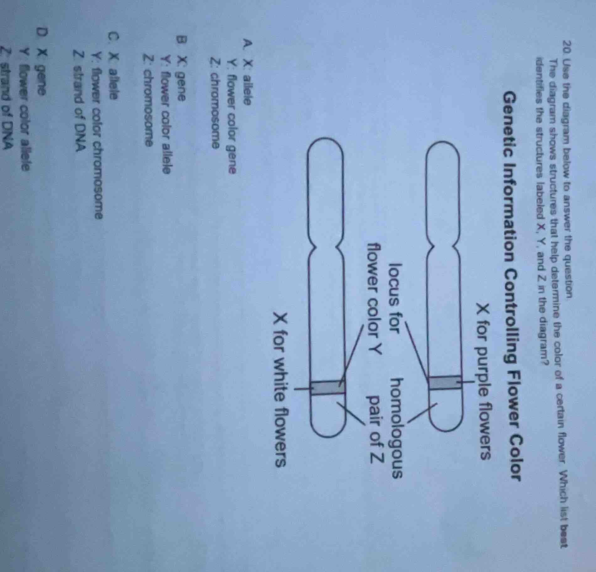 20. use the diagram below to answer the question the diagram shows stru…