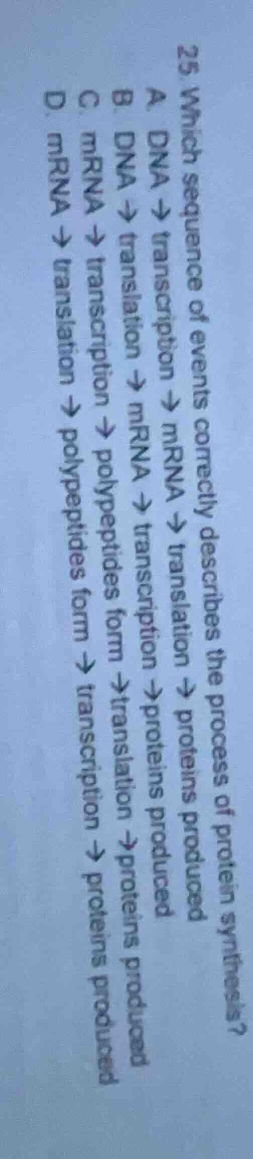 25. which sequence of events correctly describes the process of protein…