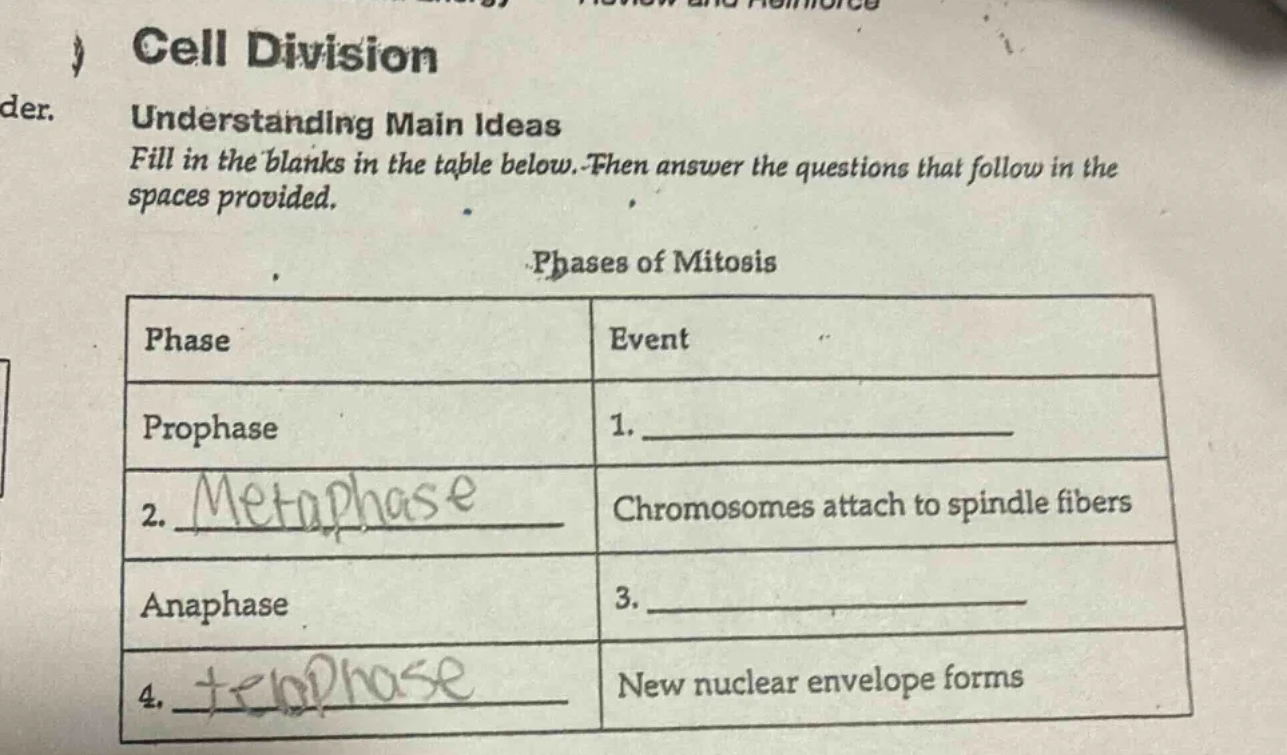 cell division understanding main ideas fill in the blanks in the table …