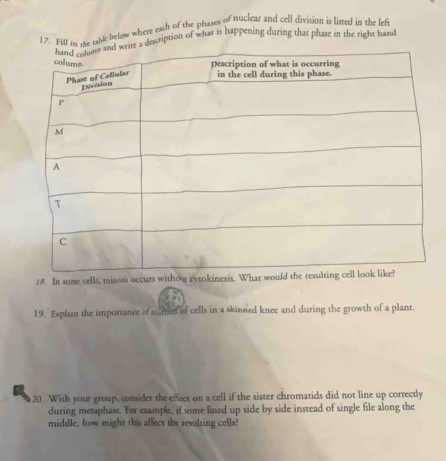 17. fill in the table below where each of the phases of nuclear and cel…