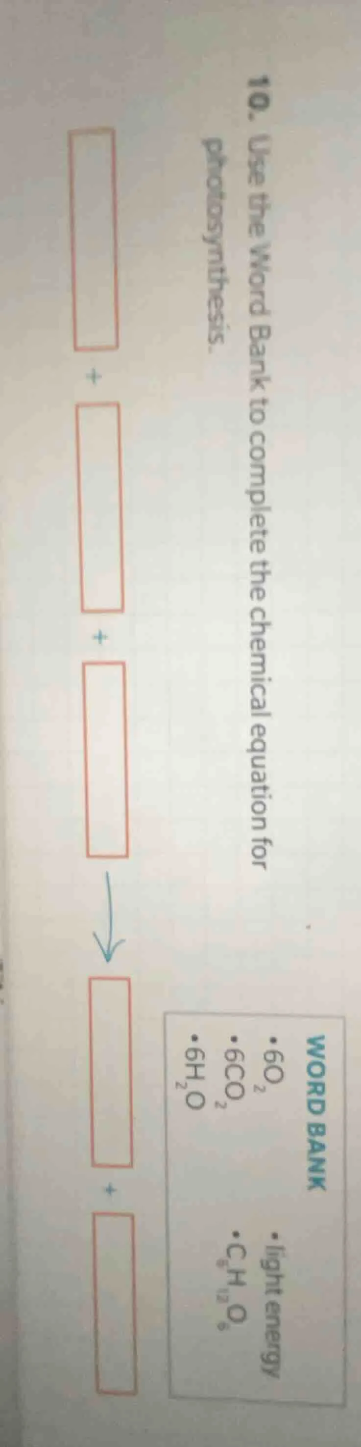 10. use the word bank to complete the chemical equation for photosynthe…