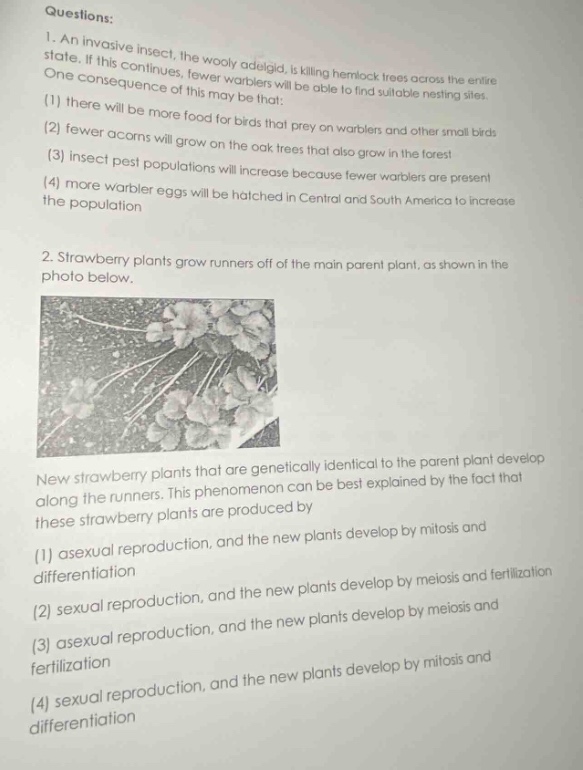 questions: 1. an invasive insect, the woolly adelgid, is killing hemloc…