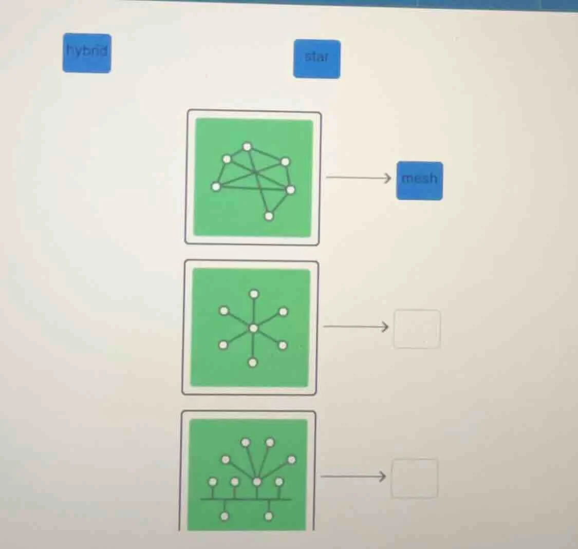hybrid, star, mesh (first diagram: connected nodes labeled mesh; second…