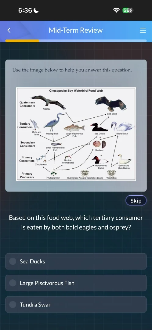 mid-term review use the image below to help you answer this question. c…