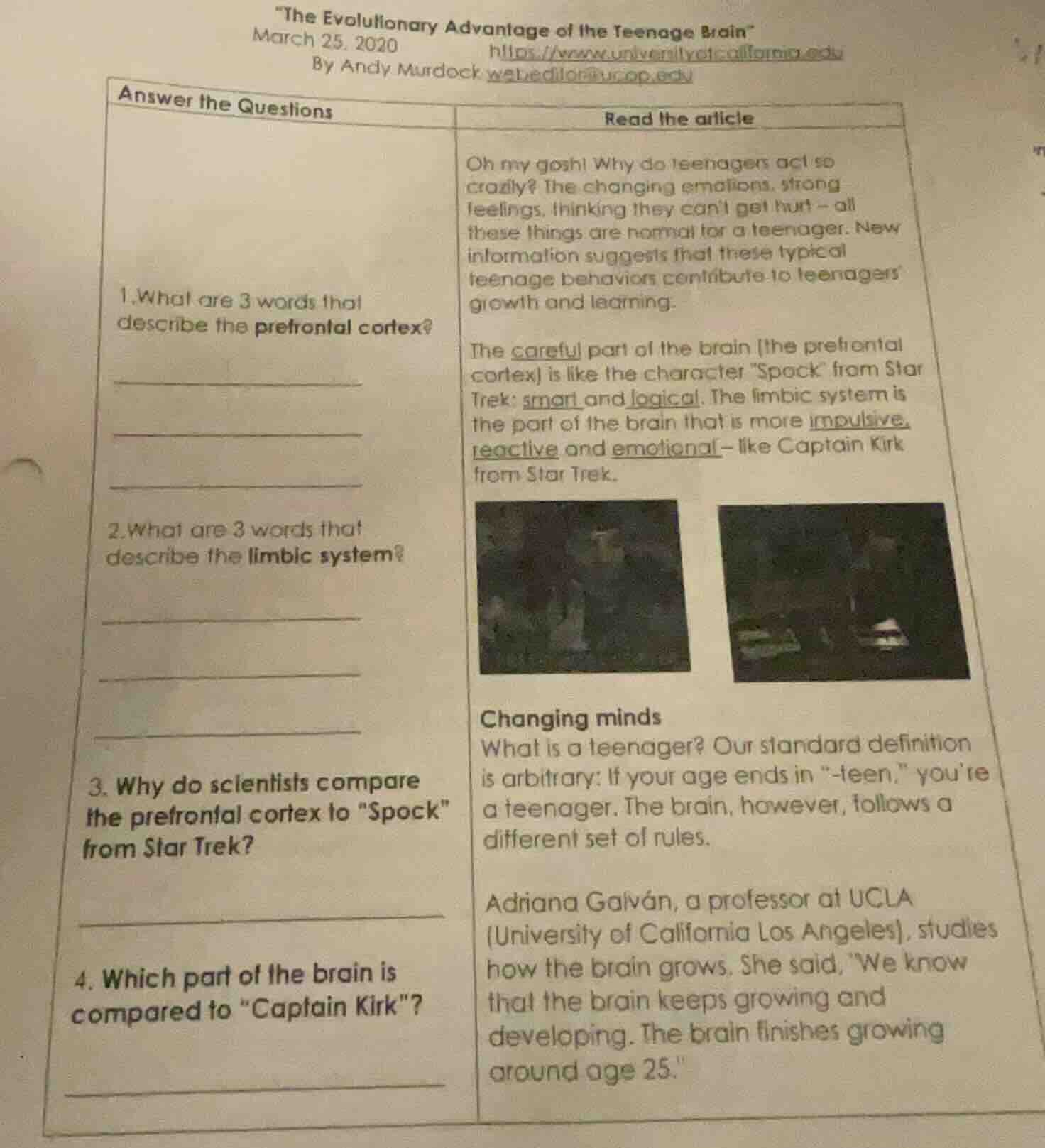 \the evolutionary advantage of the teenage brain\ march 25, 2020 by and…