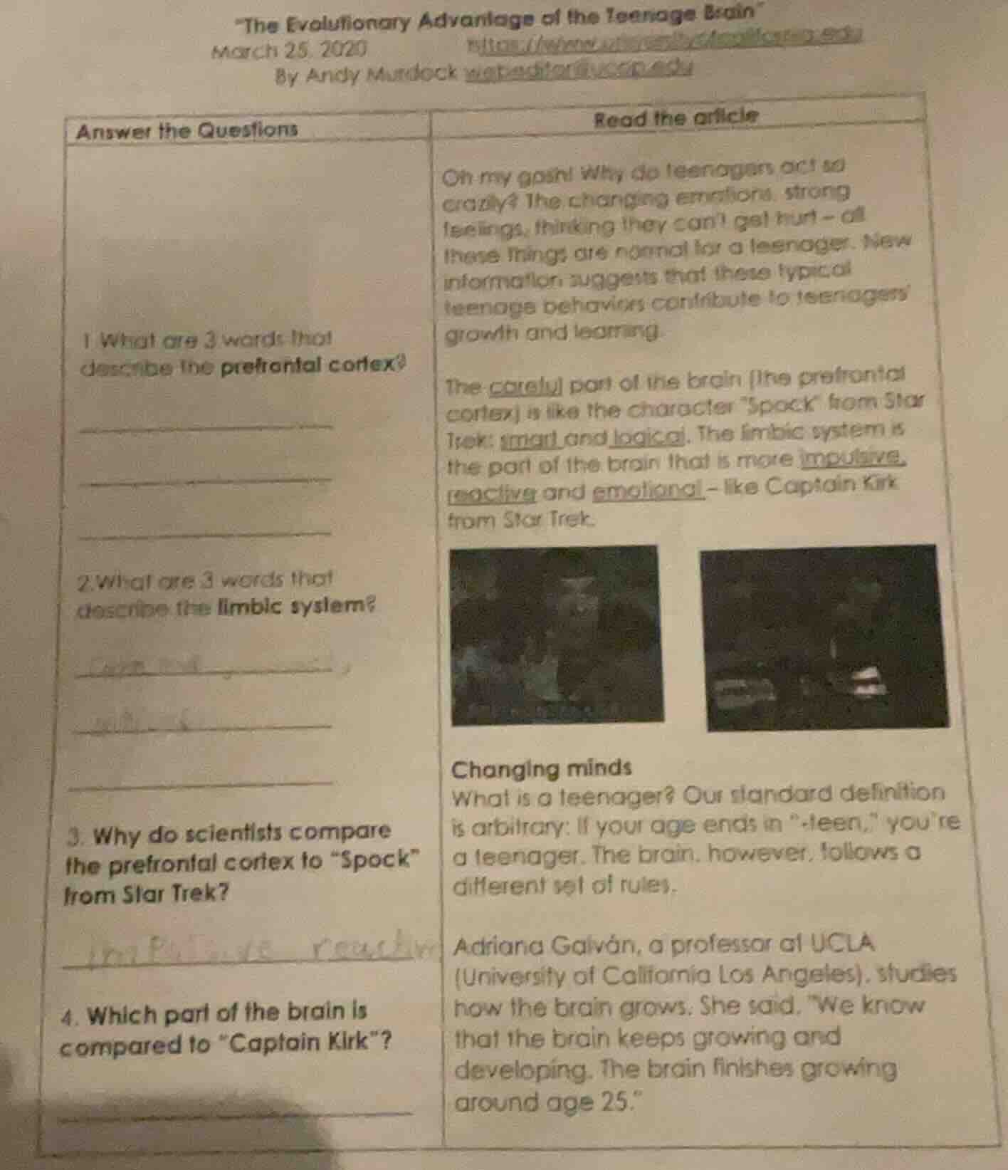 the evolutionary advantage of the teenage brain march 25, 2020 by andy …