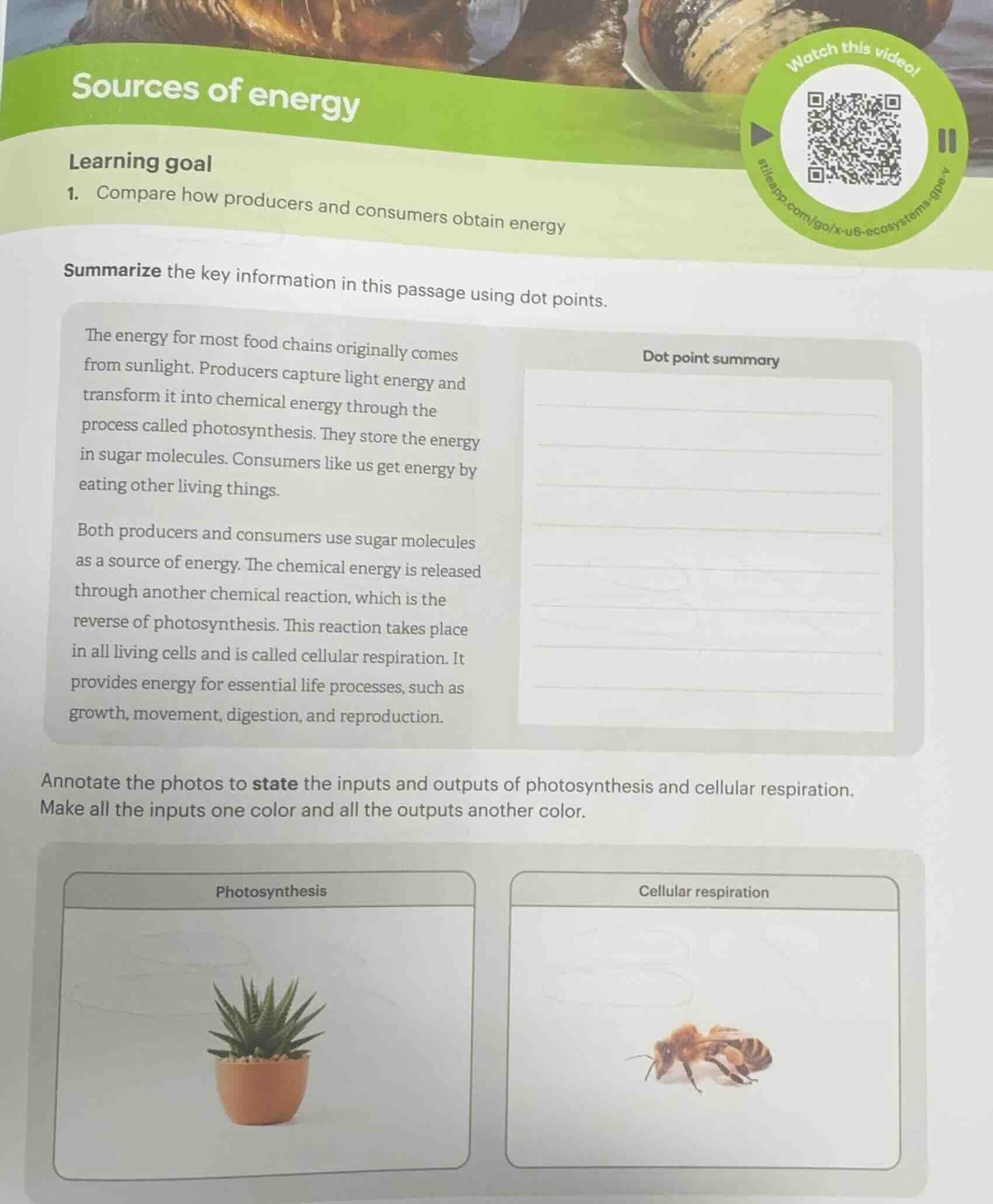 sources of energy learning goal 1. compare how producers and consumers …