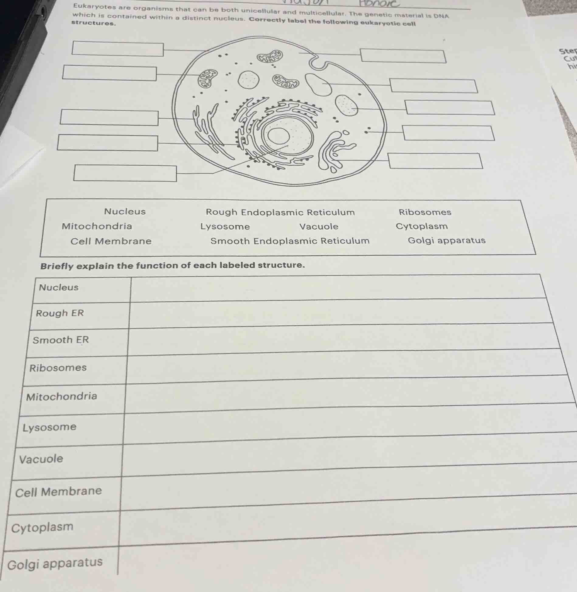 eukaryotes are organisms that can be both unicellular and multicellular…