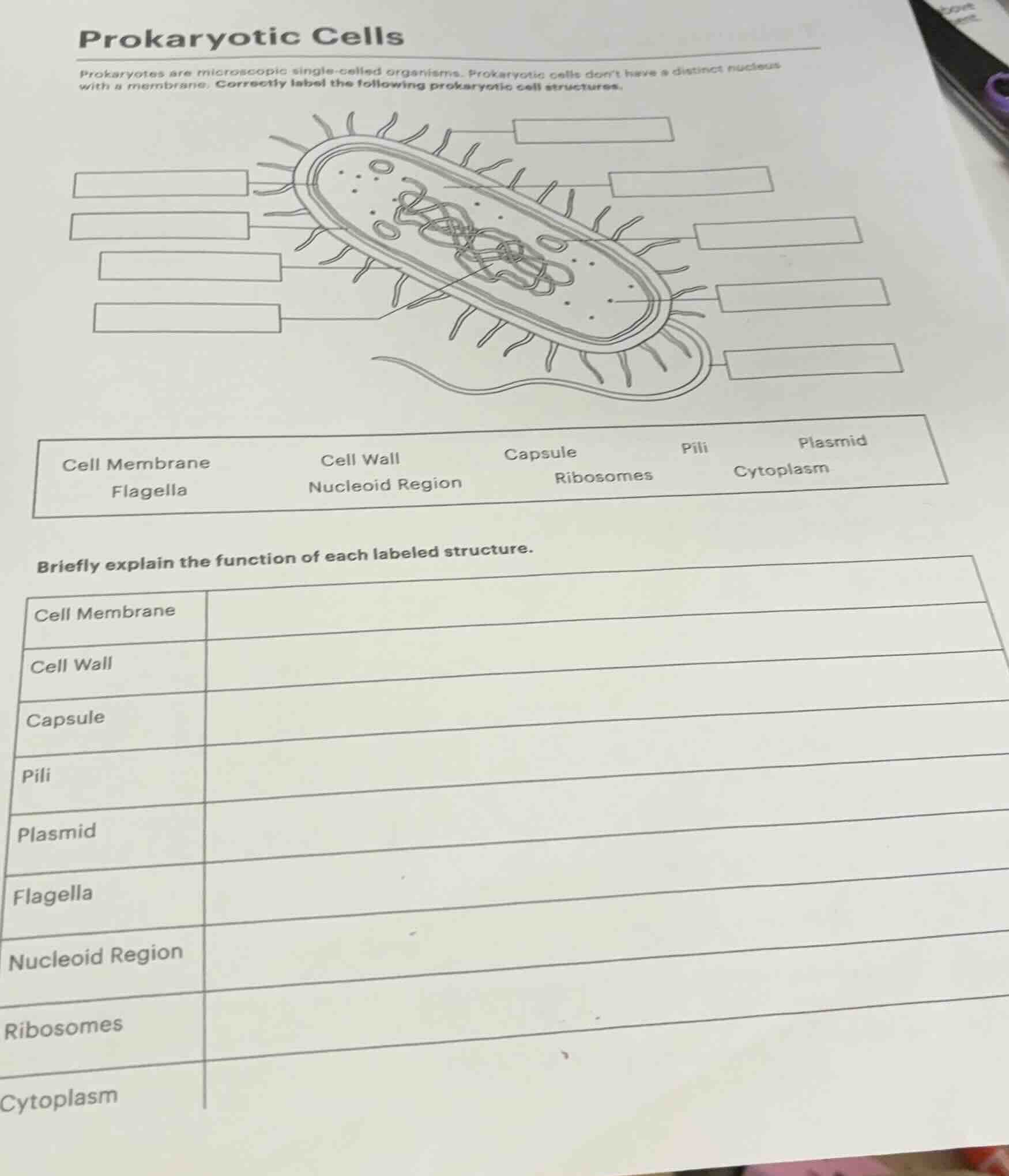 prokaryotic cells prokaryotes are microscopic single - celled organisms…