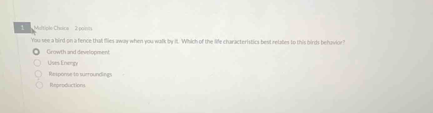 1 multiple choice 2 points you see a bird on a fence that flies away wh…