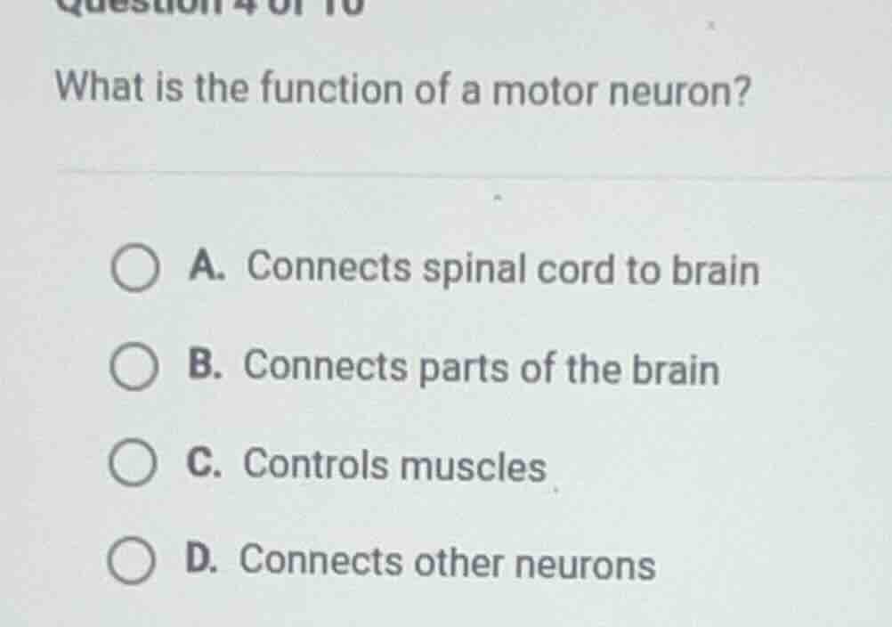 question 4 of 10 what is the function of a motor neuron? a. connects sp…