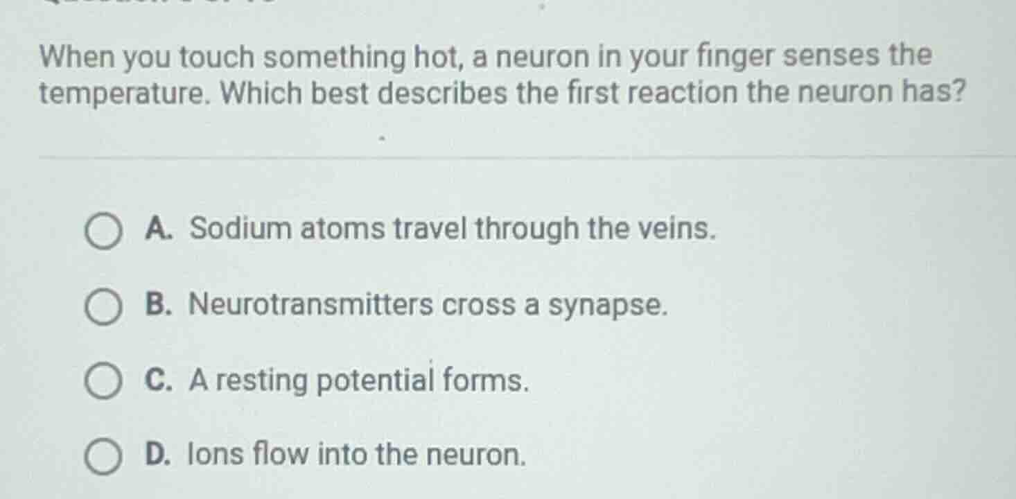 when you touch something hot, a neuron in your finger senses the temper…