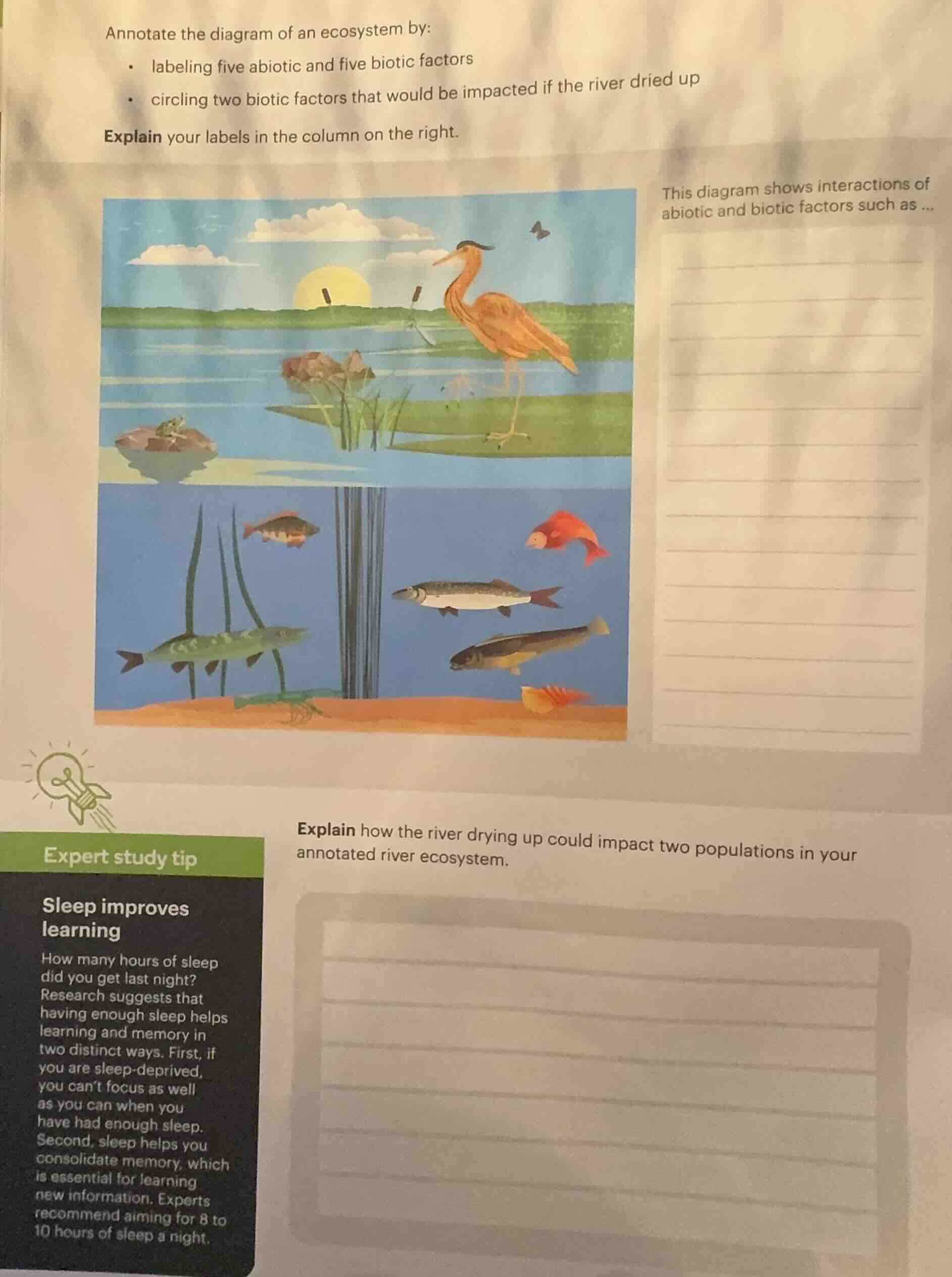 annotate the diagram of an ecosystem by: - labeling five abiotic and fi…