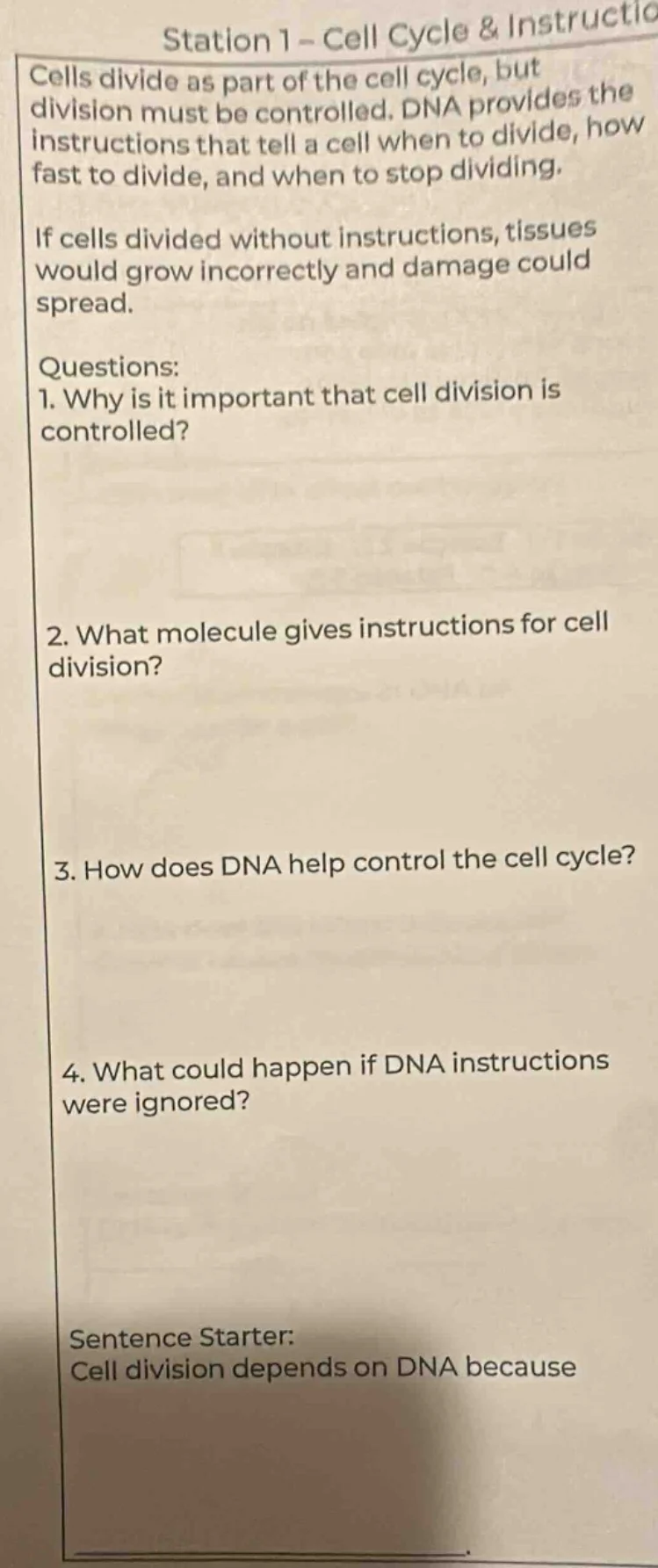 station 1 - cell cycle & instructio cells divide as part of the cell cy…