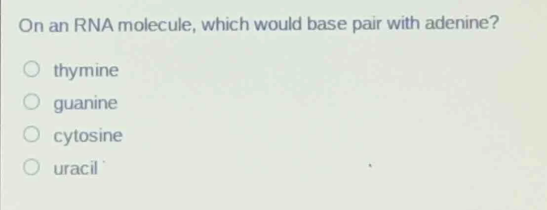 on an rna molecule, which would base pair with adenine? ○ thymine ○ gua…