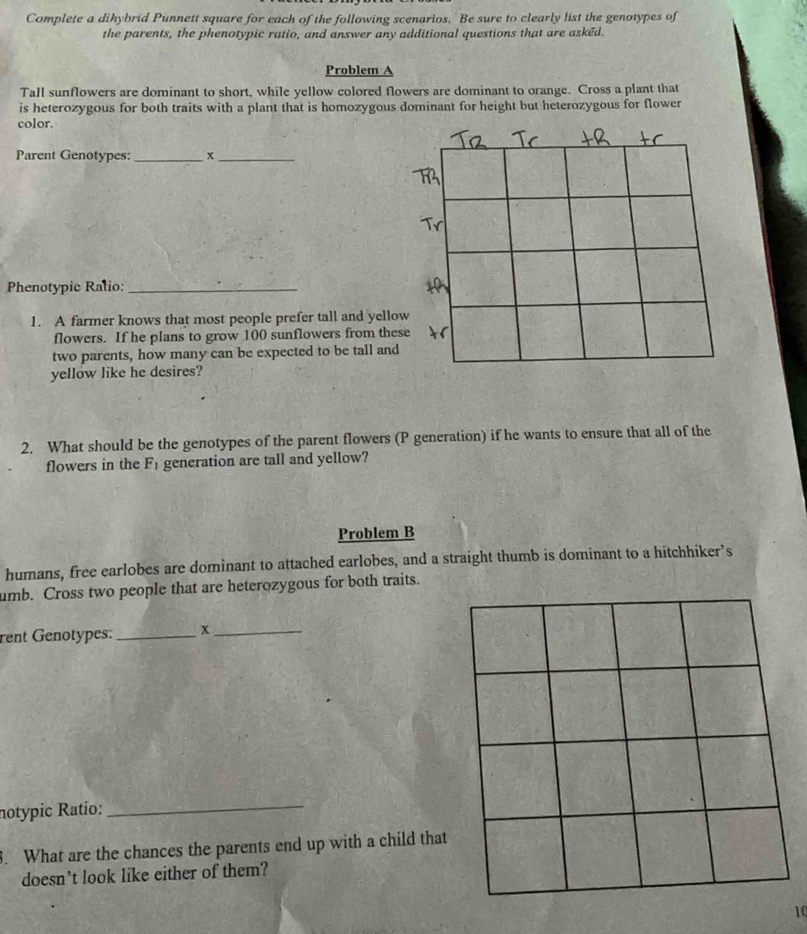 complete a dihybrid punnett square for each of the following scenarios.…