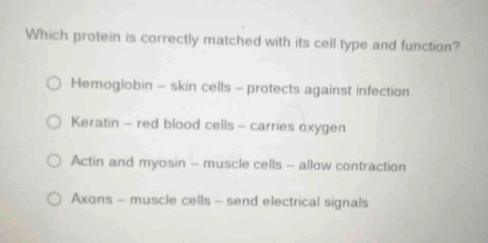 which protein is correctly matched with its cell type and function? hem…