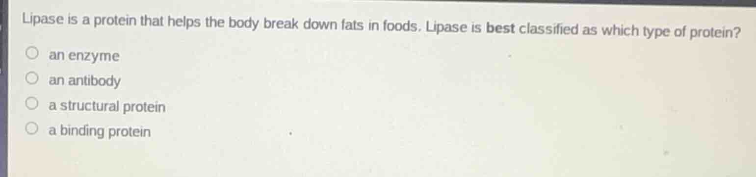 lipase is a protein that helps the body break down fats in foods. lipas…