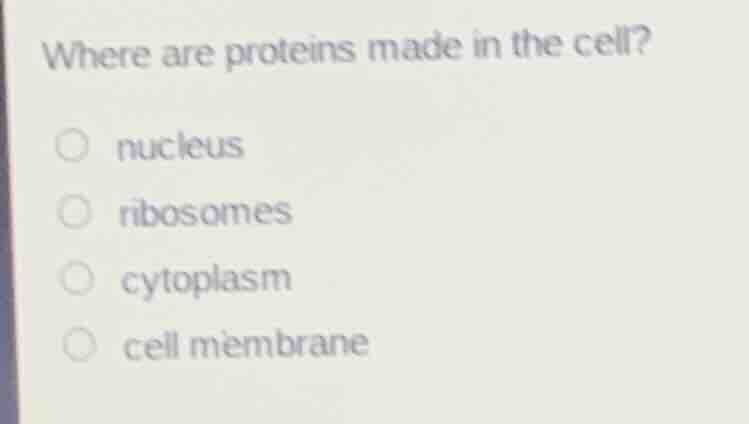 where are proteins made in the cell? ○ nucleus ○ ribosomes ○ cytoplasm …