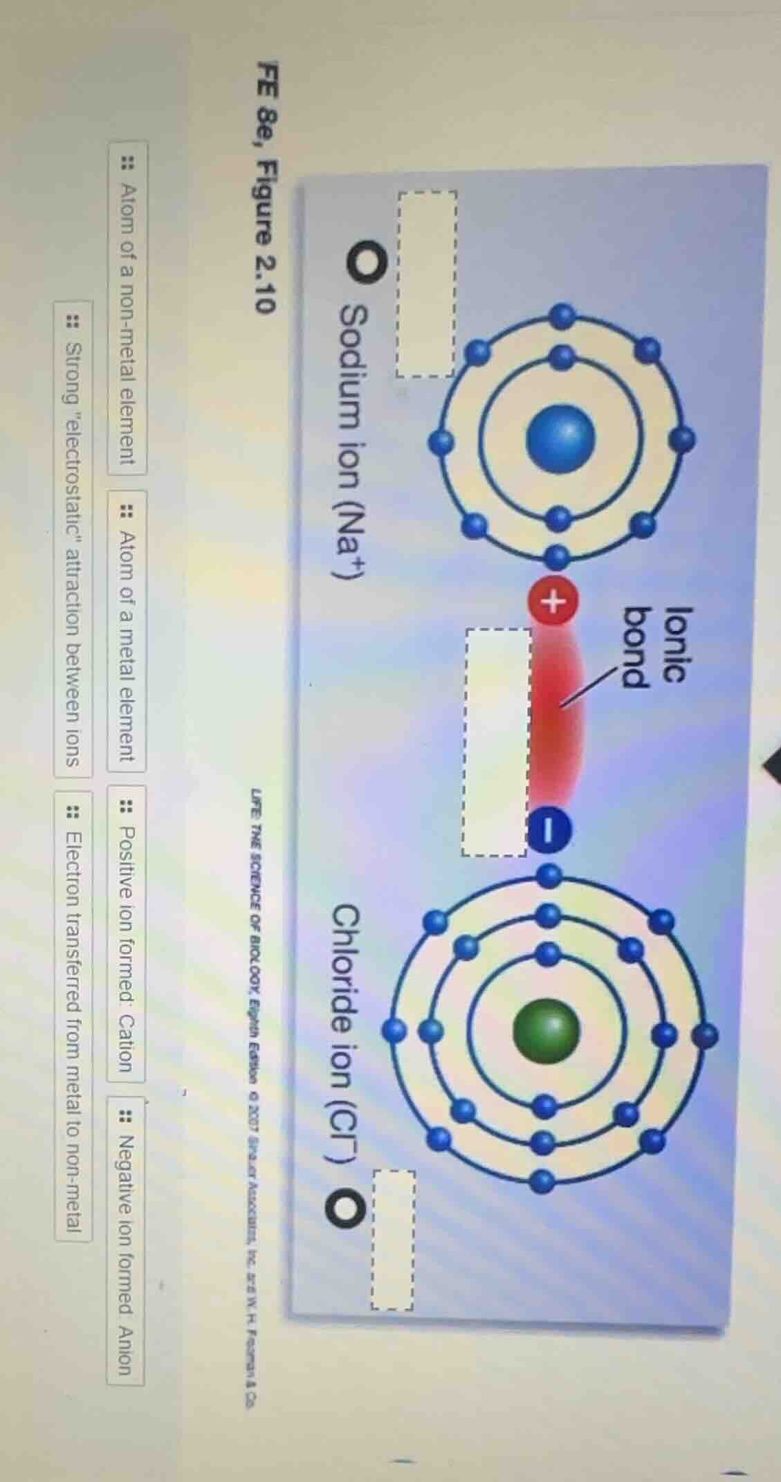 fe 8e, figure 2.10 atom of a non - metal element strong \electrostatic\…