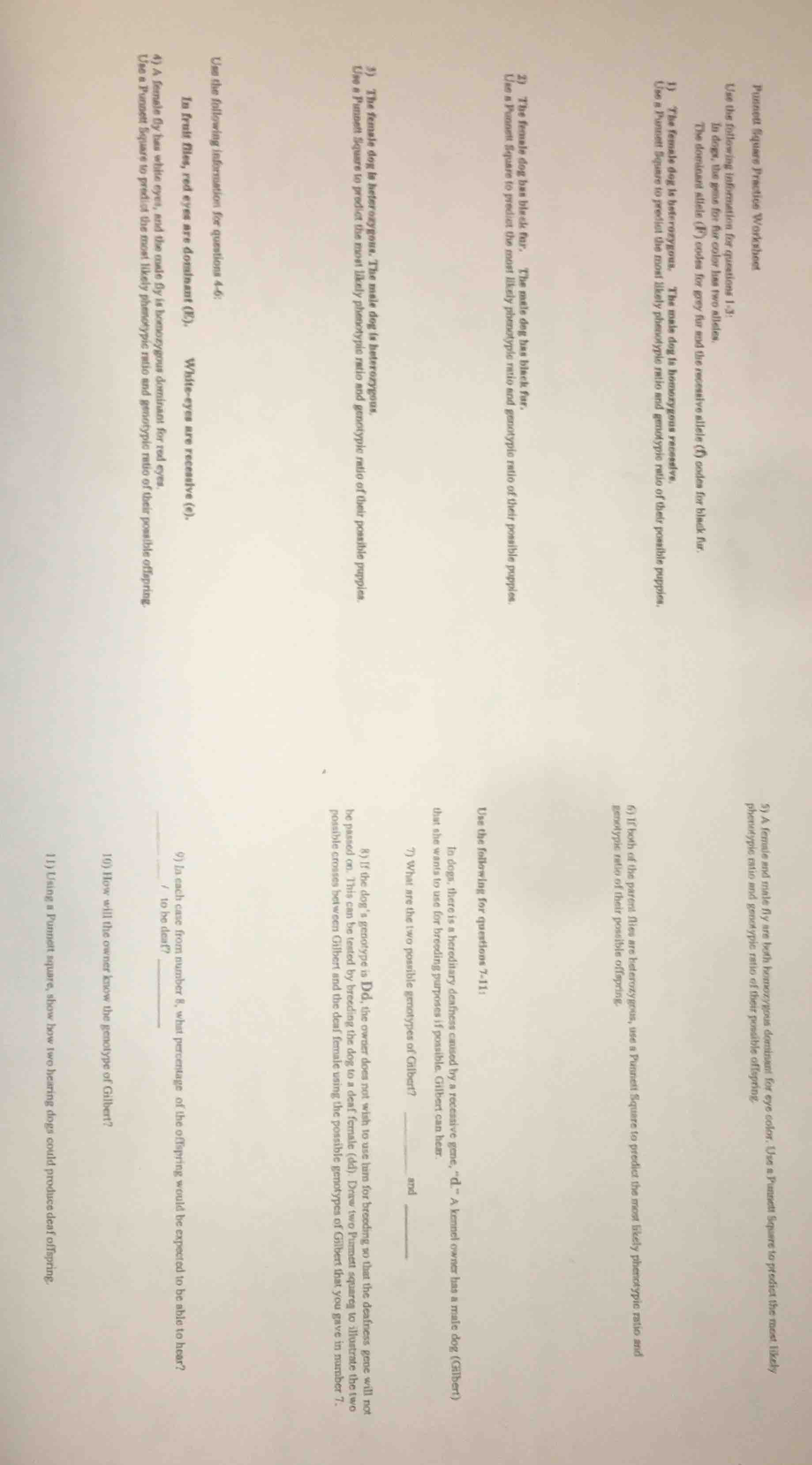 punnett square practice worksheet use the following information for que…
