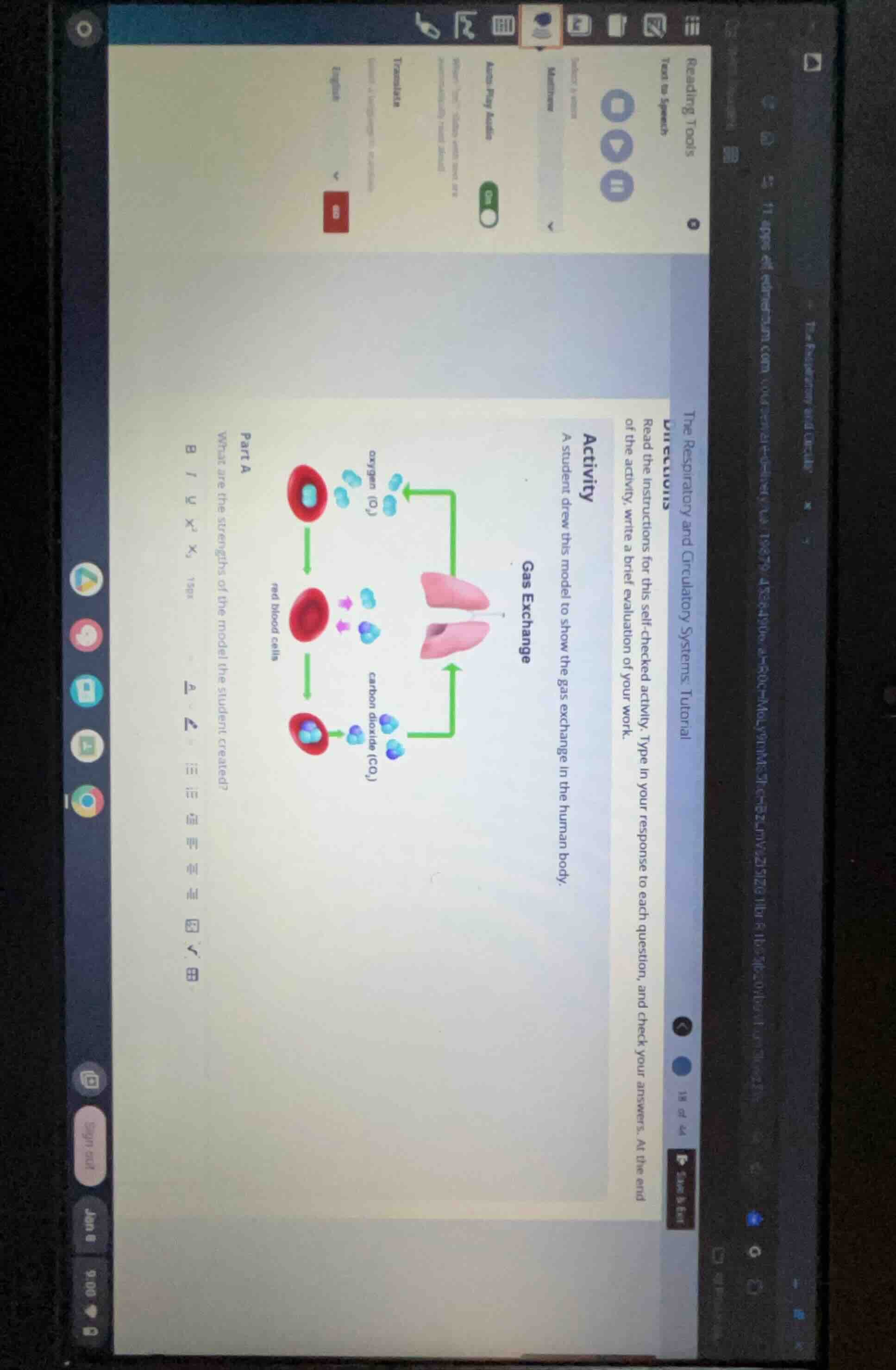 the respiratory and circulatory systems tutorial directions read the in…