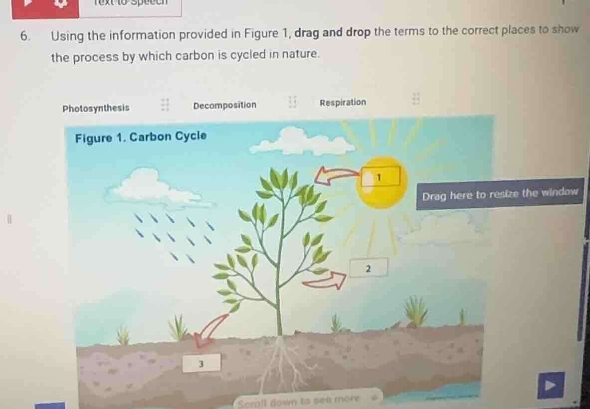 6. using the information provided in figure 1, drag and drop the terms …