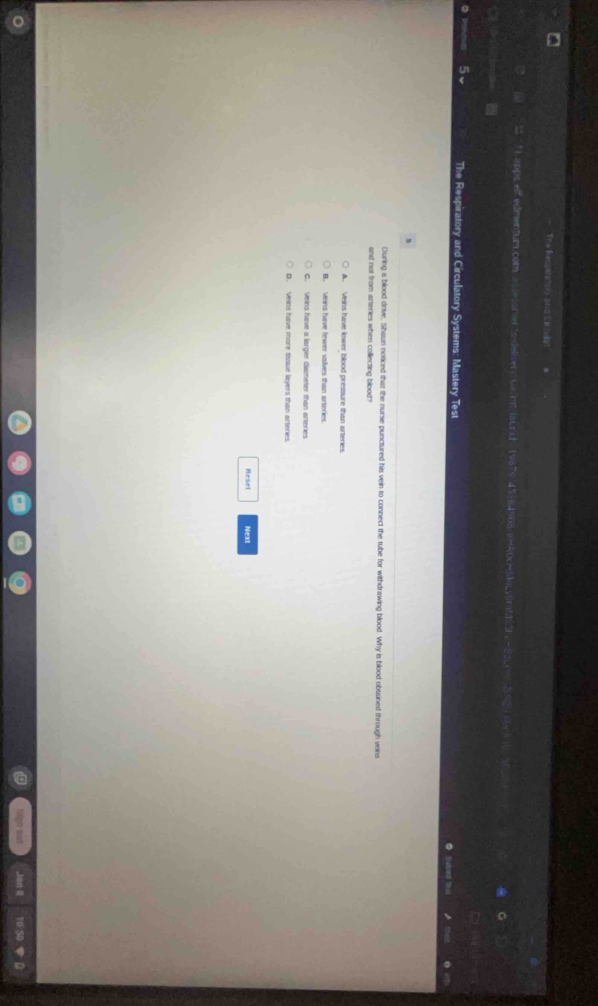 5 the respiratory and circulatory systems: mastery test during a blood …