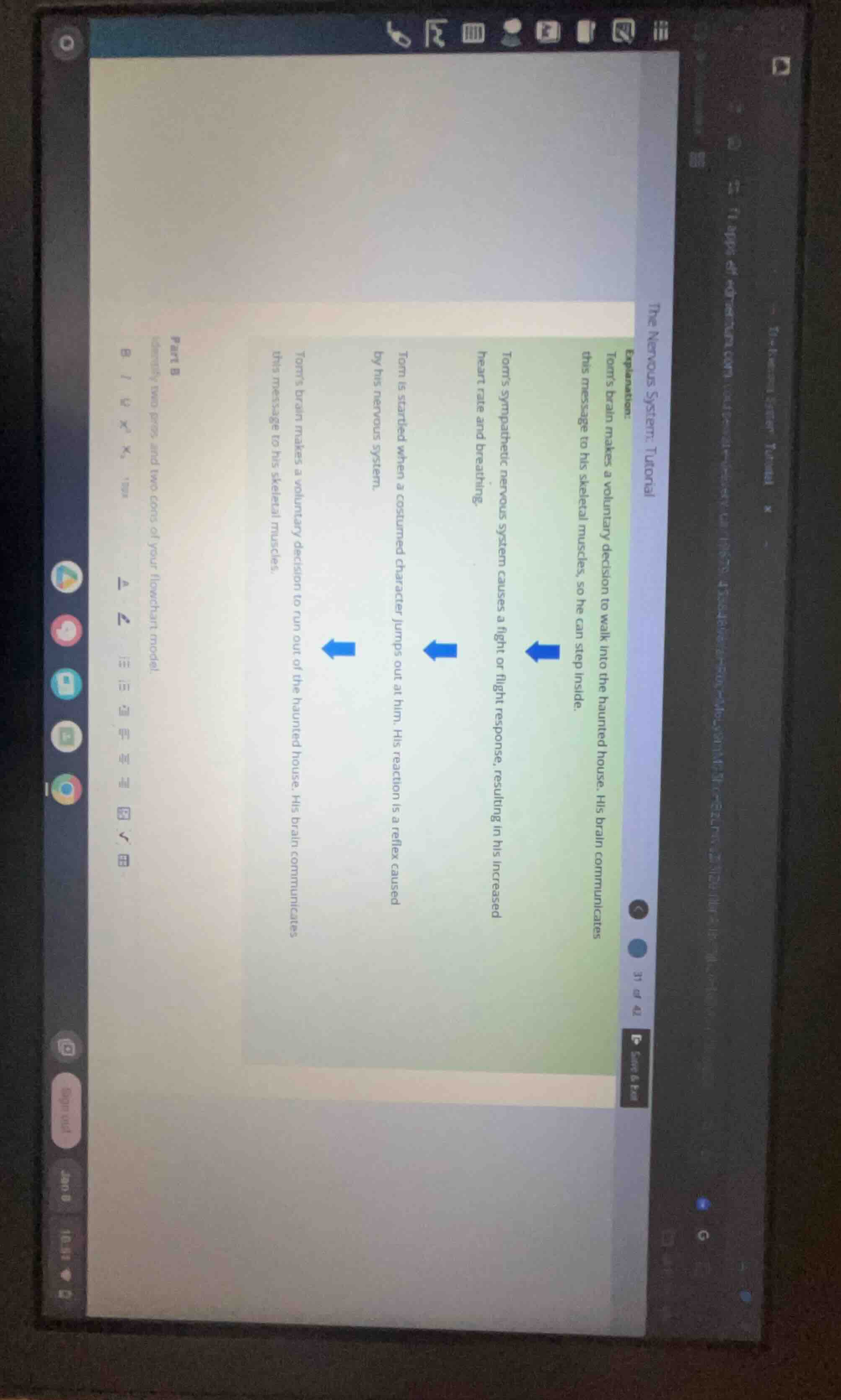 the nervous system: tutorial explanation: tom’s brain makes a voluntary…