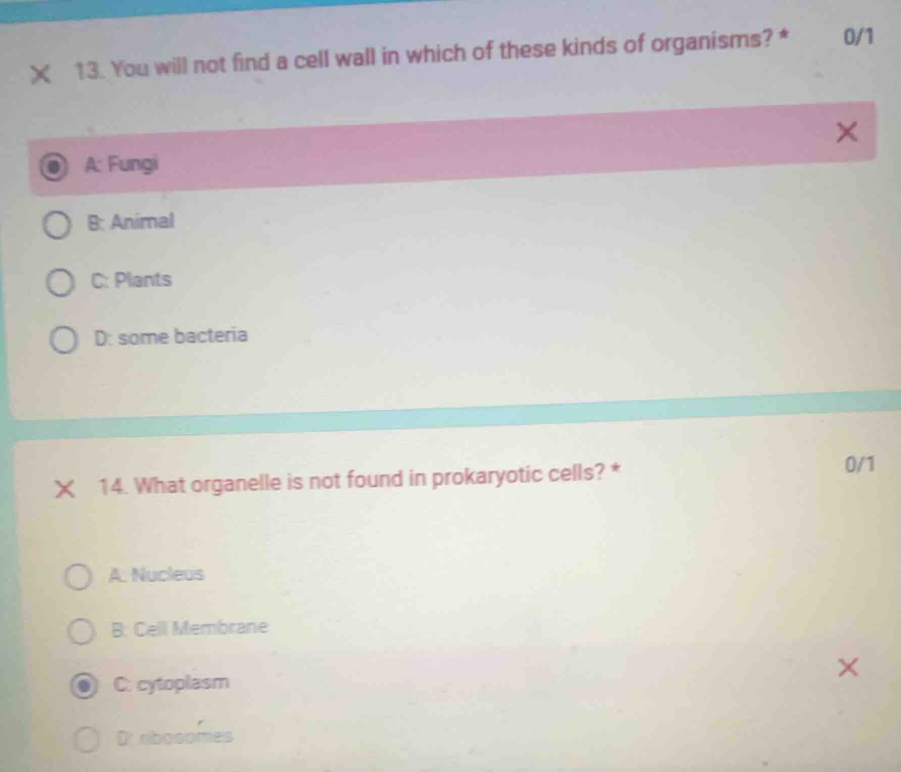 13. you will not find a cell wall in which of these kinds of organisms?…