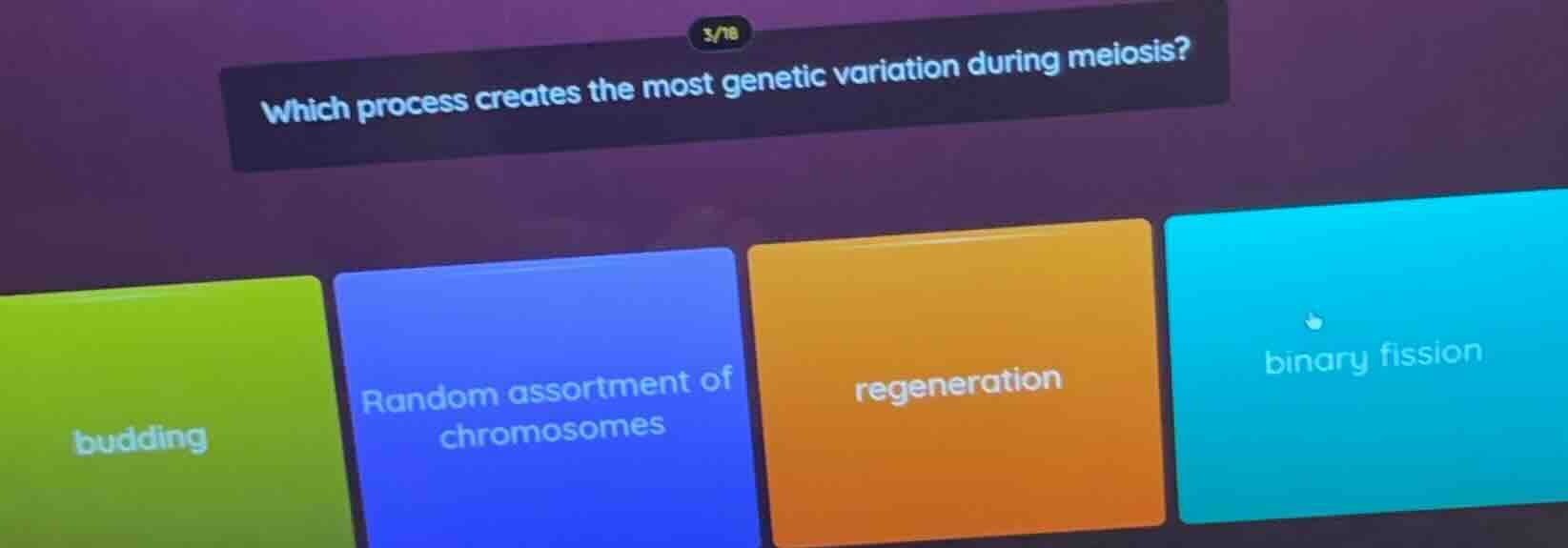 which process creates the most genetic variation during meiosis? buddin…