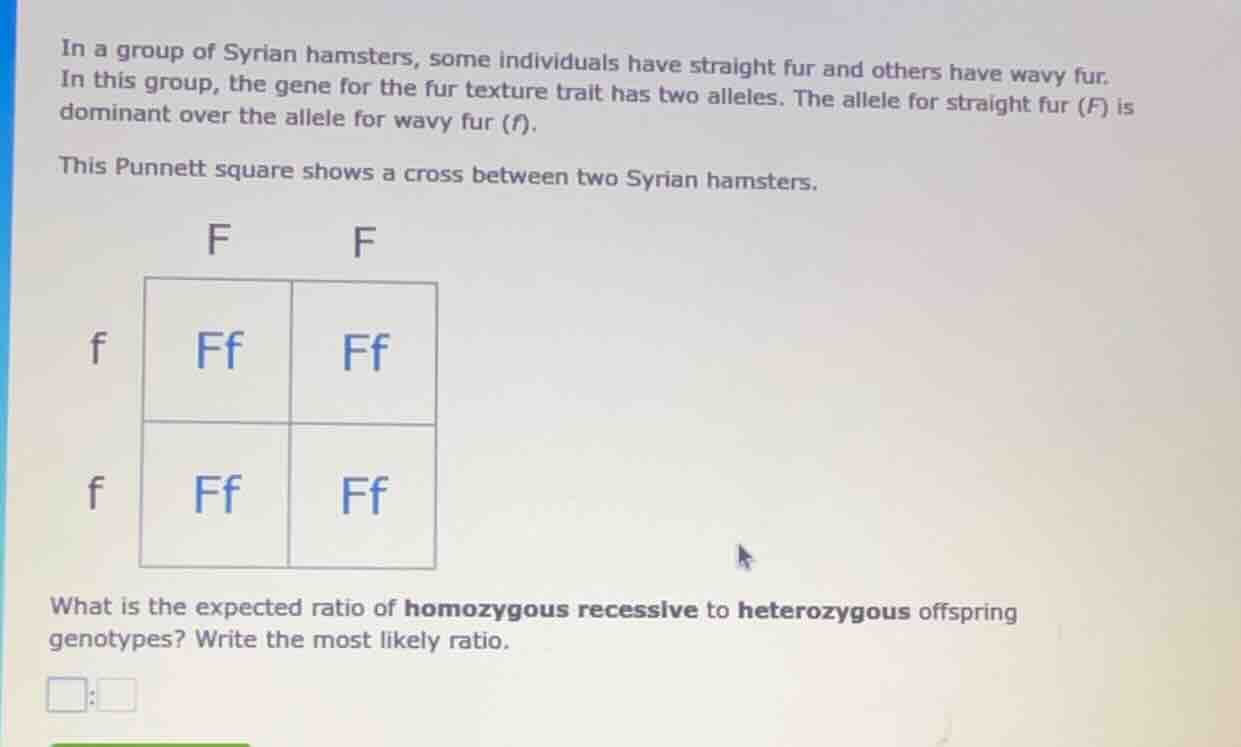 in a group of syrian hamsters, some individuals have straight fur and o…