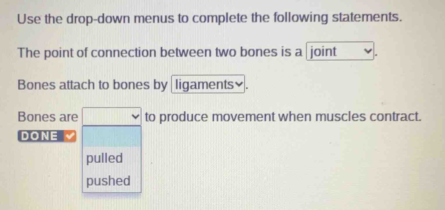 use the drop - down menus to complete the following statements. the poi…