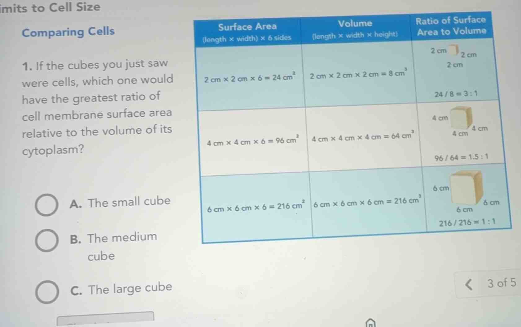 imits to cell size comparing cells 1. if the cubes you just saw were ce…