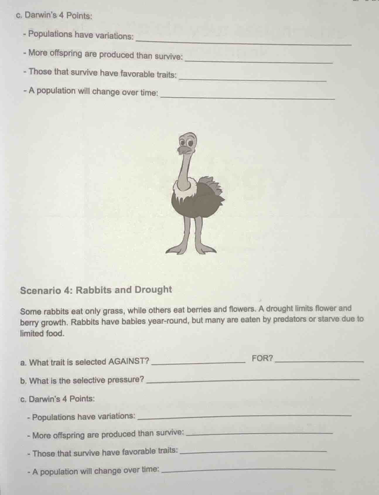 c. darwins 4 points: - populations have variations: - more offspring ar…