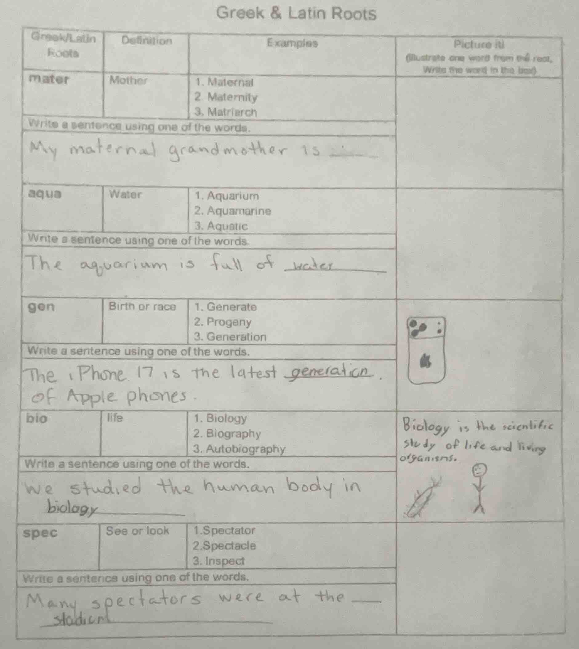 greek & latin roots greek/latin roots | definition | examples | picture…