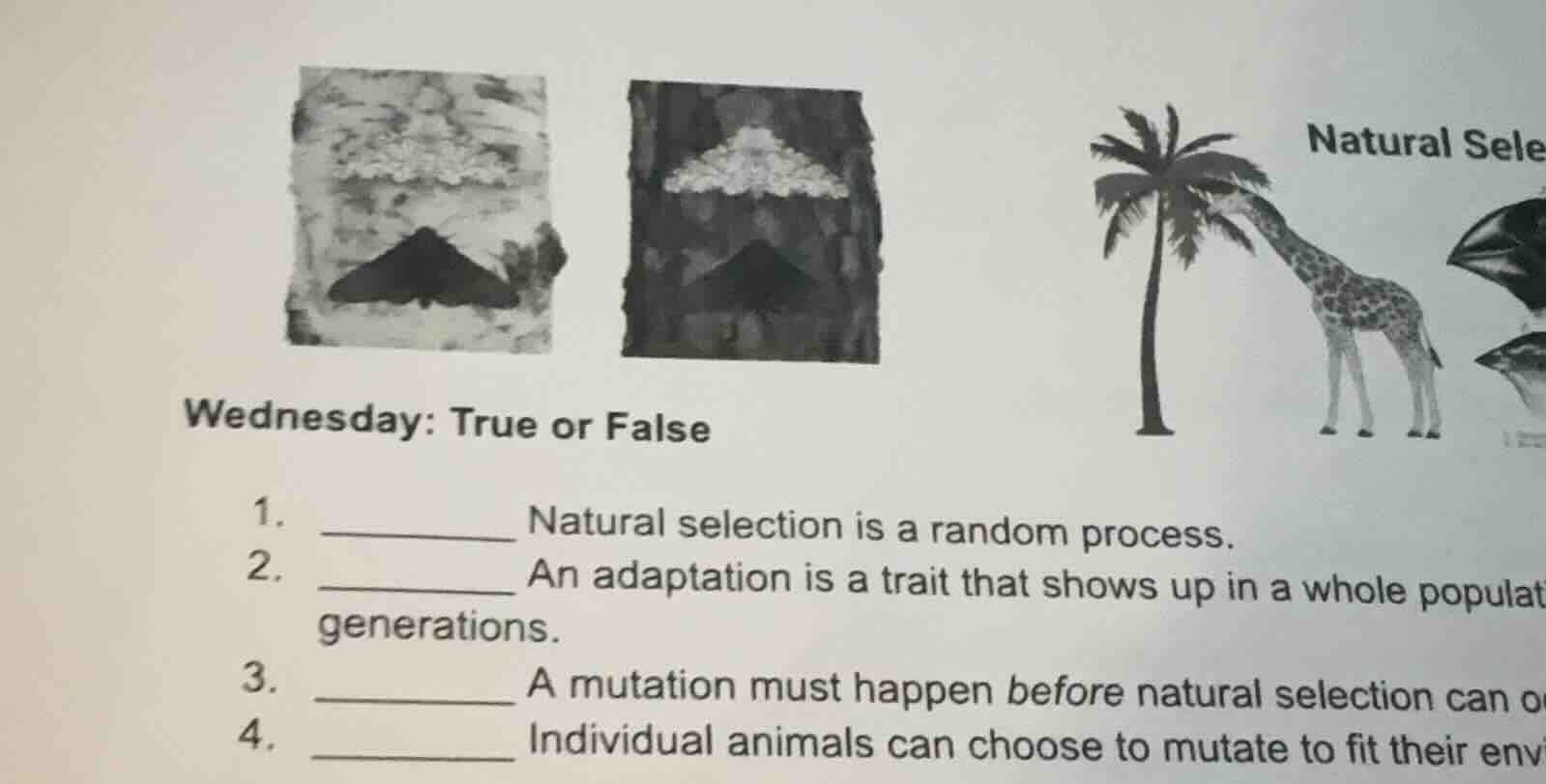 wednesday: true or false 1. ______ natural selection is a random proces…