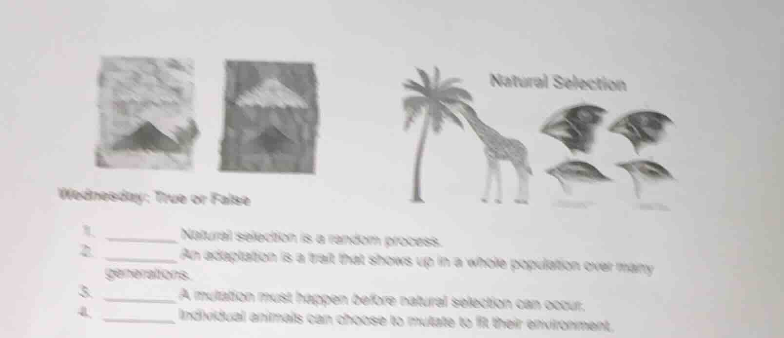 wednesday: true or false 1. ______ natural selection is a random proces…
