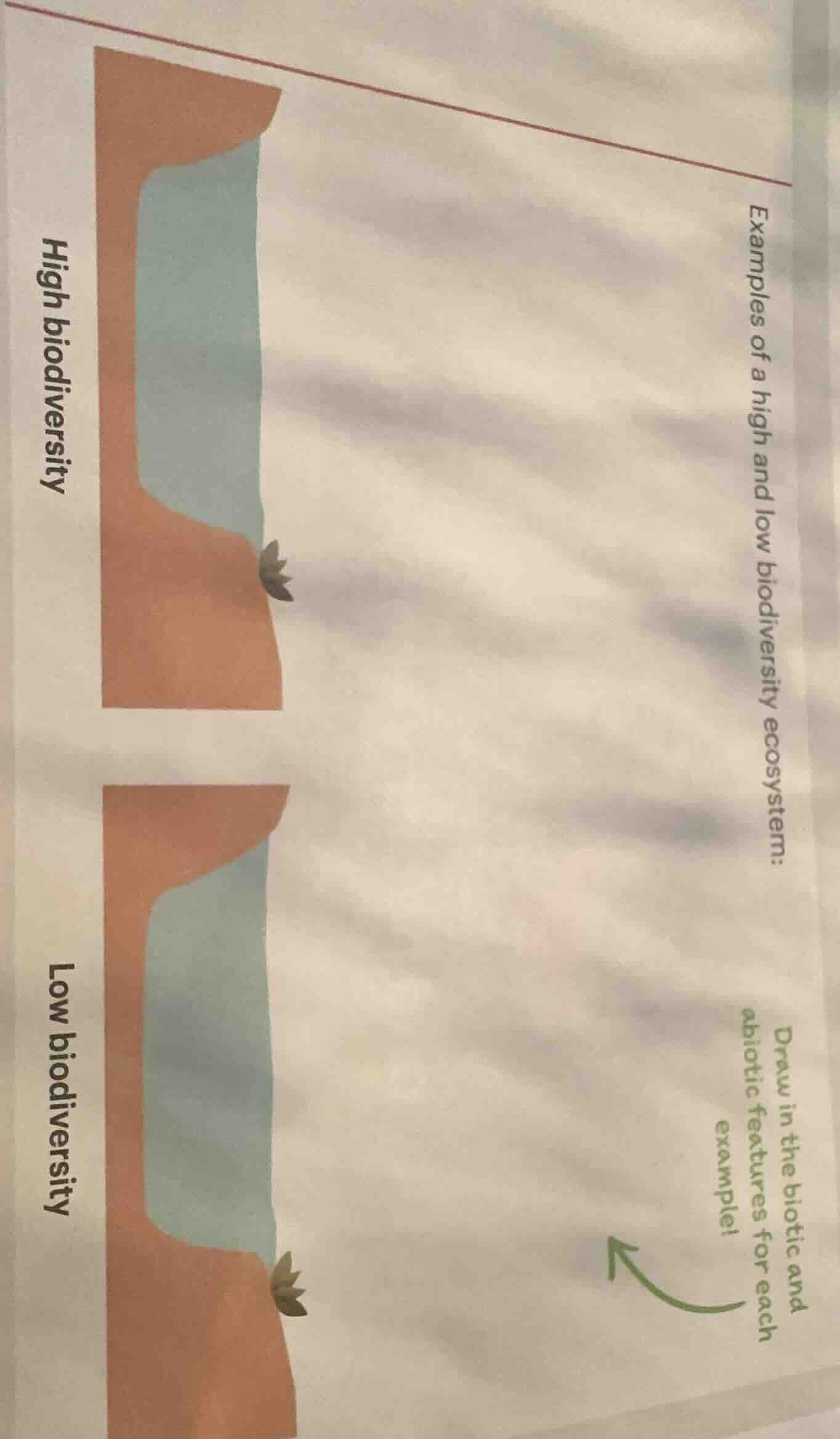 examples of a high and low biodiversity ecosystem: high biodiversity lo…