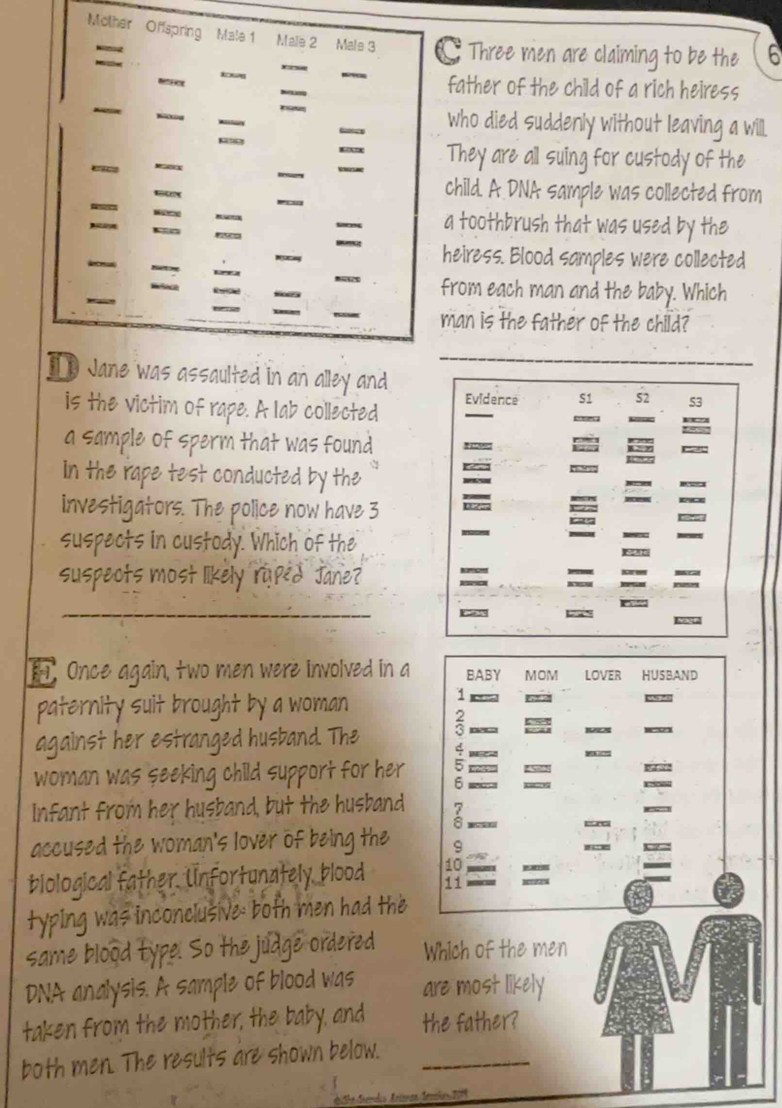 mother offspring male 1 male 2 male 3 c three men are claiming to be th…