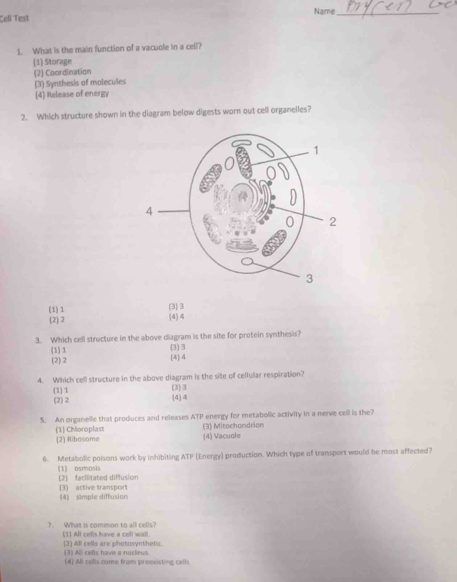cell test name 1. what is the main function of a vacuole in a cell? (1)…